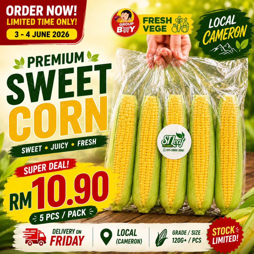 (VEGE) PREMIUM SWEET CORN 5PCS