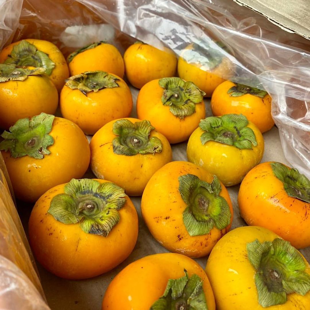(FRUITS) PREMIUM CHINA PERSIMMON 4PCS