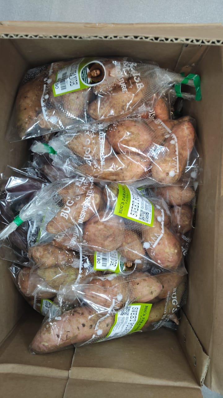 (VEGE) PREMIUM LOCAL SWEET POTATO 500G