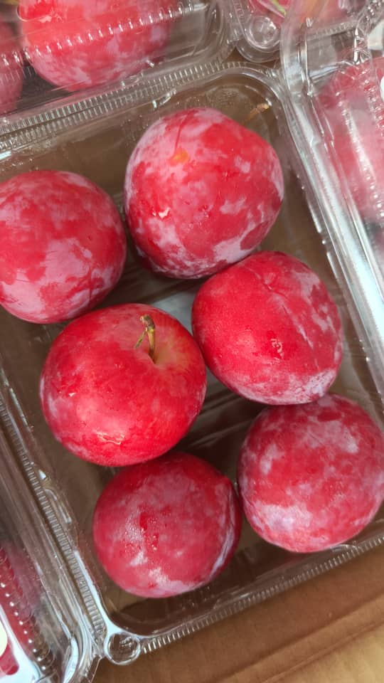 (FRUITS) PREMIUM RED PLUM 500G