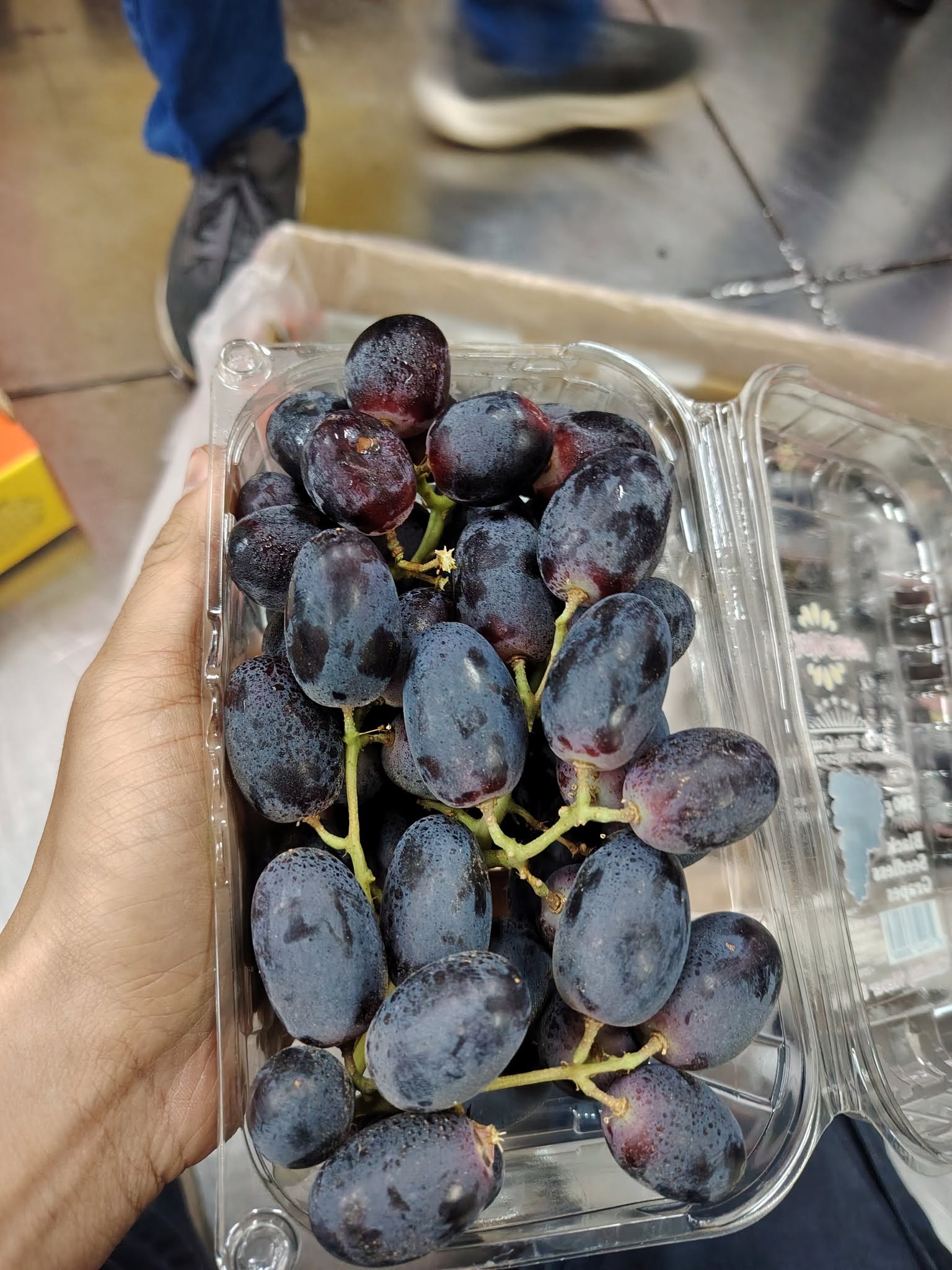 (FRUITS) PREMIUM EGYPT BLACK GRAPES 500G