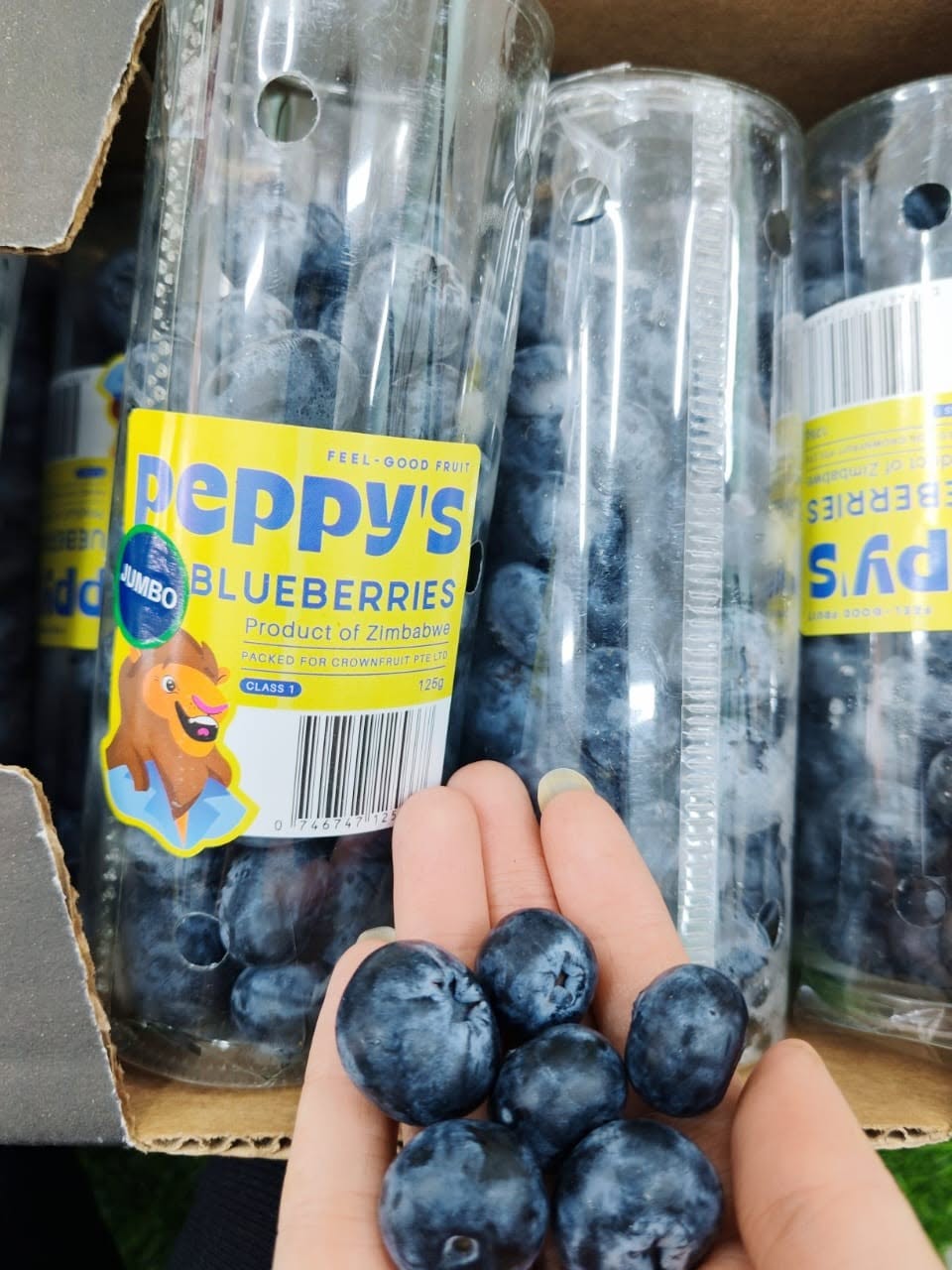 (FRUITS) PREMIUM JUMBO BLUEBERRIES 200G