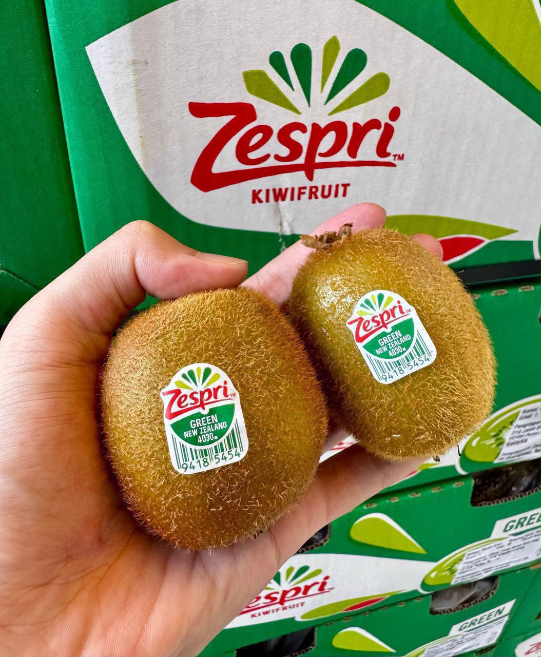 (FRUITS) PREMIUM ZESPRI GREEN KIWI 4 PCS
