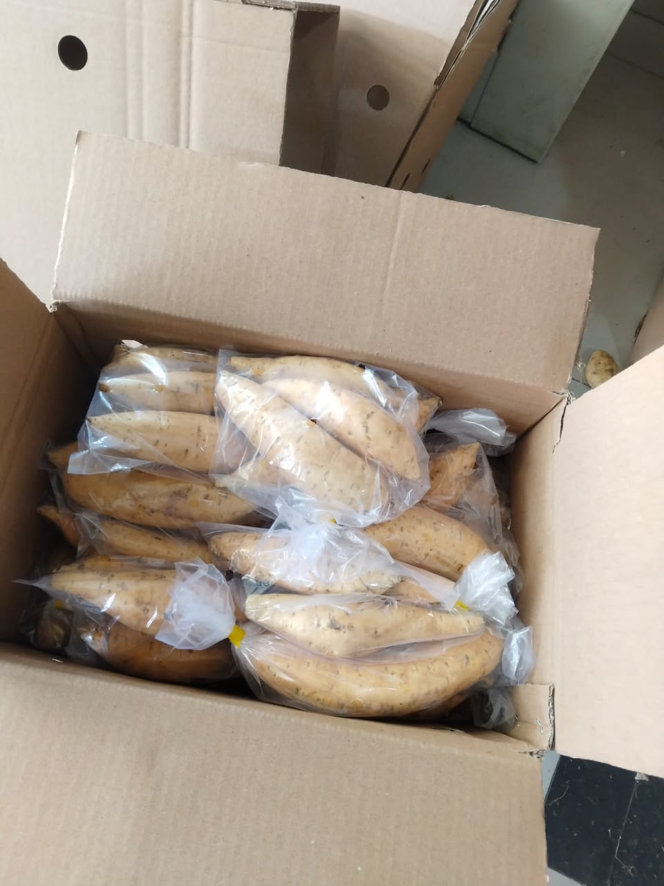 (FRUITS) PREMIUM SWEET POTATO 500G JOHOR