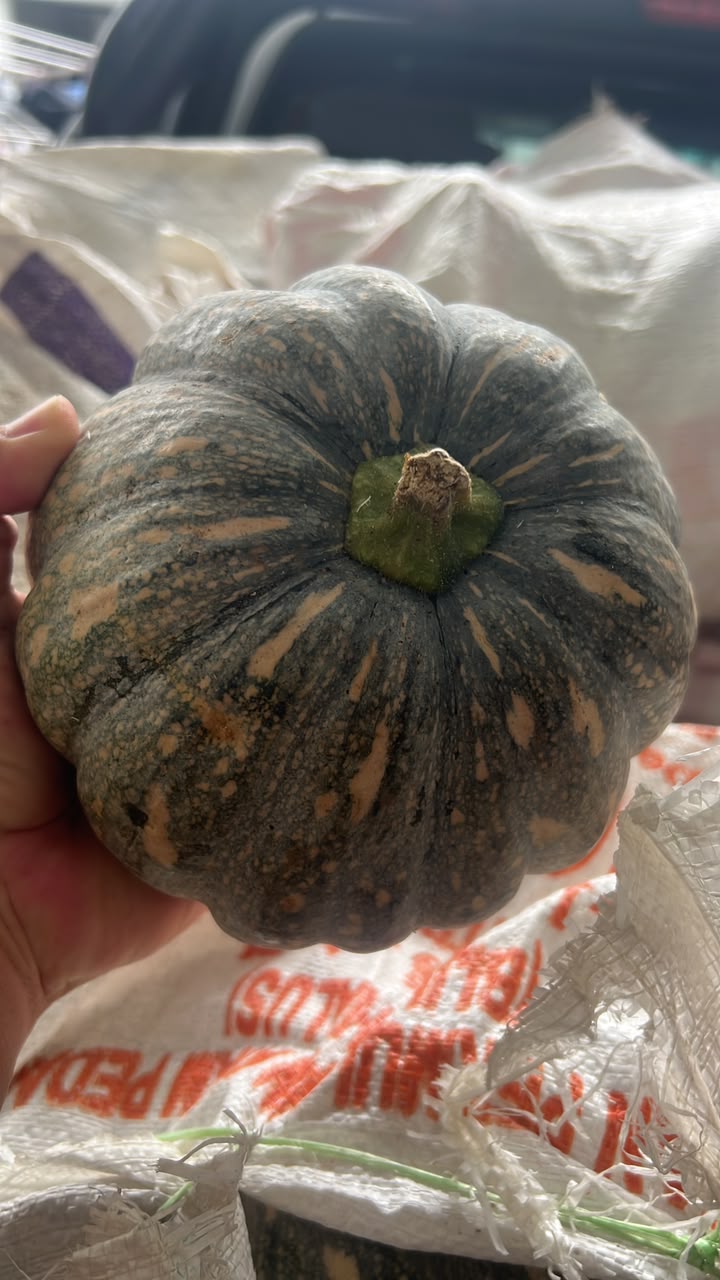 (FRUITS) PREMIUM LOCAL PUMPKIN 1KG
