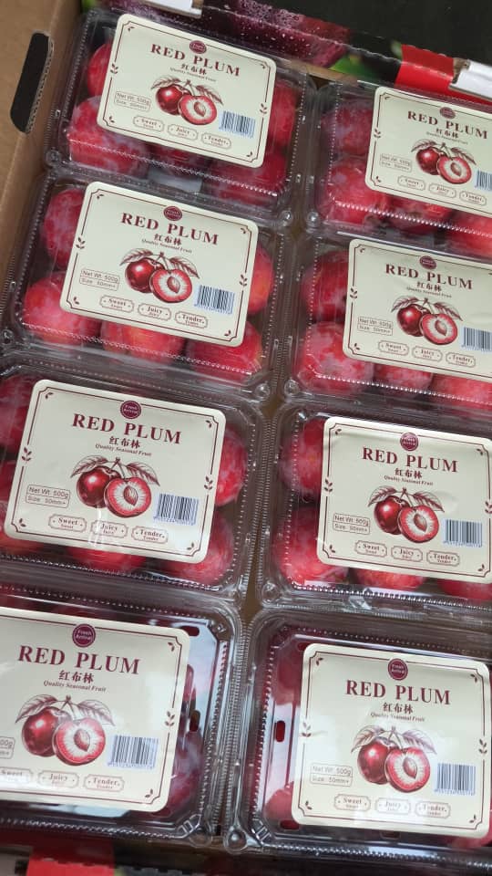 (FRUITS) PREMIUM RED PLUM 500G