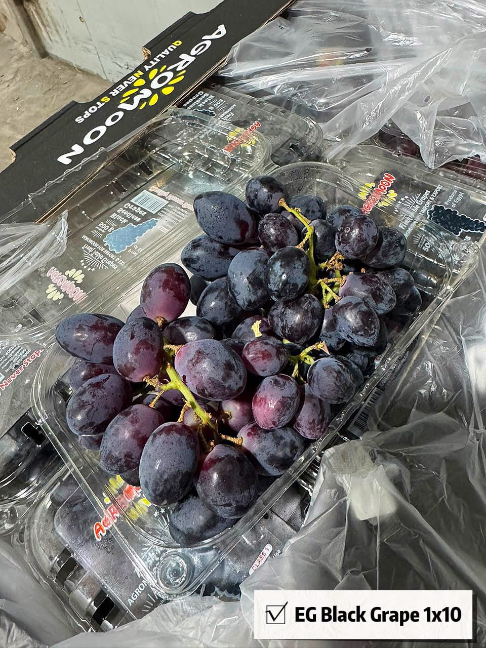 (FRUITS) PREMIUM EGYPT BLACK GRAPES 500G