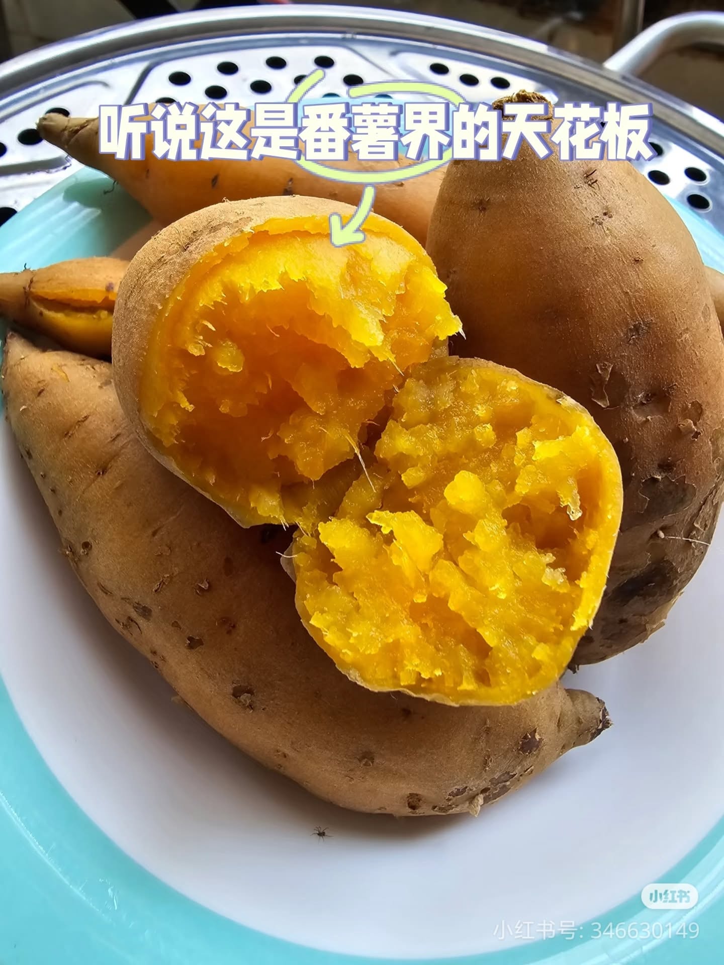 (FRUITS) PREMIUM SWEET POTATO 500G JOHOR
